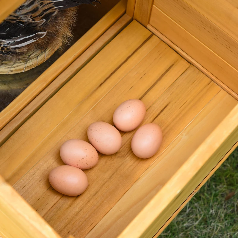 Bantam Hönshus Med Frigående Och Yngelbox.Väderbeständig Tätat Granträ, Asfalttak Natur + Grön 9