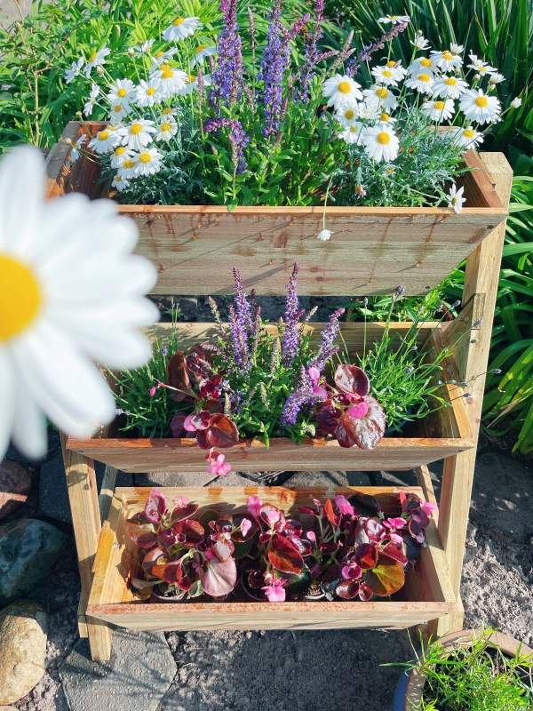 Upphöjd Bädd Blomstertrappa Trä Blomstege Med 3 Hyllor Växttrappa Växthylla Växtställ Blomhylla Blomsterställ Naturlig 71 X 61 X 77 Cm 13